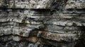 A closeup of the jagged walls of a sinkhole revealing layers of sediment and rock formations within its depths