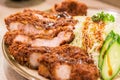 Closeup Japanese deep-fried pork cutlet - Tonkatsu