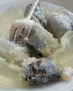 Closeup jellied eels Royalty Free Stock Photo