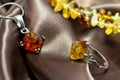 Closeup jewelry with authentic natural baltic amber : silver ring and pendant