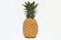 Closeup of Juicy Pineapple on White Background. Royalty Free Stock Photo