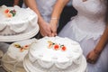 Closeup of a just-married couple cutting the wedding cake during the ceremony Royalty Free Stock Photo