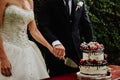 Closeup of a just-married couple cutting the wedding cake in a garden Royalty Free Stock Photo