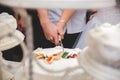 Closeup of a just-married couple cutting a wedding cake during the party Royalty Free Stock Photo