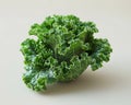 Closeup of a kale leaf, a nutritious leaf vegetable, on a white surface Royalty Free Stock Photo