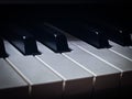 Closeup key piano,black and white color