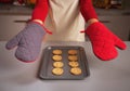 Closeup on kitchen gloves showing by young housewife and christma Royalty Free Stock Photo