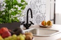 Closeup of kitchen sink and herbs and fruit on counter Royalty Free Stock Photo