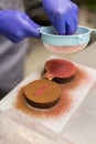 Closeup kitchen staff female hands sprinkle berry powder through sieve for decoration chocolate cake