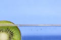 Closeup of a kiwi slice floating in sparkling water against an aqua blue background