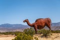 Closeup, Kneeling dromedary statue, Borrego Springs, CA, USA