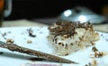 Closeup knife and a piece off a homemade cake with chocolate chips on a plate.