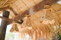closeup lamps made of wood hang under roof thatch, Select focus