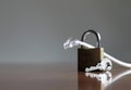 Closeup of a LAN cable in a padlock with a key on the table - concept of internet security Royalty Free Stock Photo