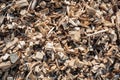 Wood chips up close