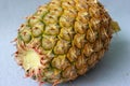 Closeup of a Large pineapple isolated on a white background Royalty Free Stock Photo
