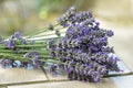 Bouquet of lavanda flowers.