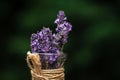 Lavander flowers in jar with blurry background