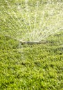 Closeup Of Lawn Water Sprinkler Spraying Water On Healthy Green Grass In Summer