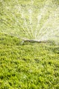 Closeup of lawn water sprinkler spraying water on healthy green grass in summer Royalty Free Stock Photo