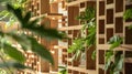 A closeup of a leafy green plant emphasizing the intricate patterns and details of nature. The wooden podium shelves Royalty Free Stock Photo