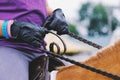 Closeup of leather gloves and reins at horse show