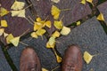 leather shoes on wet automnal ginkgo biloba leaves in Royalty Free Stock Photo
