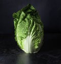 Napa cabbage on black background; Chinese cabbage