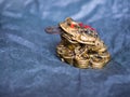 Closeup of legendary feng shui money toad Royalty Free Stock Photo