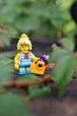 Closeup of a Lego minifigure of a woman with a basket with grapes on a rock