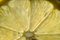 Closeup lemon slice. Transparent texture of lemon