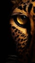 Closeup leopard eye, portrait of animal on dark background. Royalty Free Stock Photo