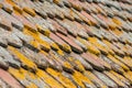 Lichen on terra cotta tiles on roof Royalty Free Stock Photo