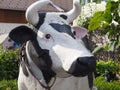 Closeup of a life-size decorative cow with bell, looking aside Royalty Free Stock Photo