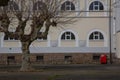 Closeup of a lifeless tree in front of a white house with arch windows