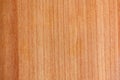 Closeup of light beech, vertical stripe pattern on natural wood cut. Background, texture. Royalty Free Stock Photo
