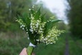 lilly of the valley bouquet picking in hand in the forest on background Royalty Free Stock Photo