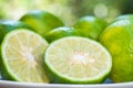 Closeup lime slice with green nature blur on white plate