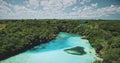 Closeup limpid lake with salt water at exotic green plants. Emerald saltwater serene scene at tropic Royalty Free Stock Photo