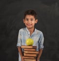 Closeup of little boy holding stack of books and apple. Happy schoolboy smiling and looking at camera. Royalty Free Stock Photo