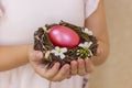 Closeup little girls hands holding pink Easter egg in the nest.