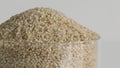 Closeup of little millet grains