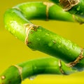 Closeup look of twisted bamboo Royalty Free Stock Photo