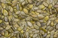 Hulled pumpkin seeds isolated