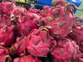 Closeup lots of dragon fruit sell in supermarket