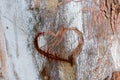 Closeup of a love heart carved in the tree trunk Royalty Free Stock Photo