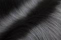 Closeup on luxurious glossy black hair