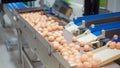 Closeup Machinery separating the size of chicken eggs Royalty Free Stock Photo