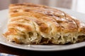 Closeup macro of balkan burek with cheese on the plate