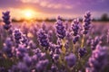 closeup macro beautiful lavender field. ai generative